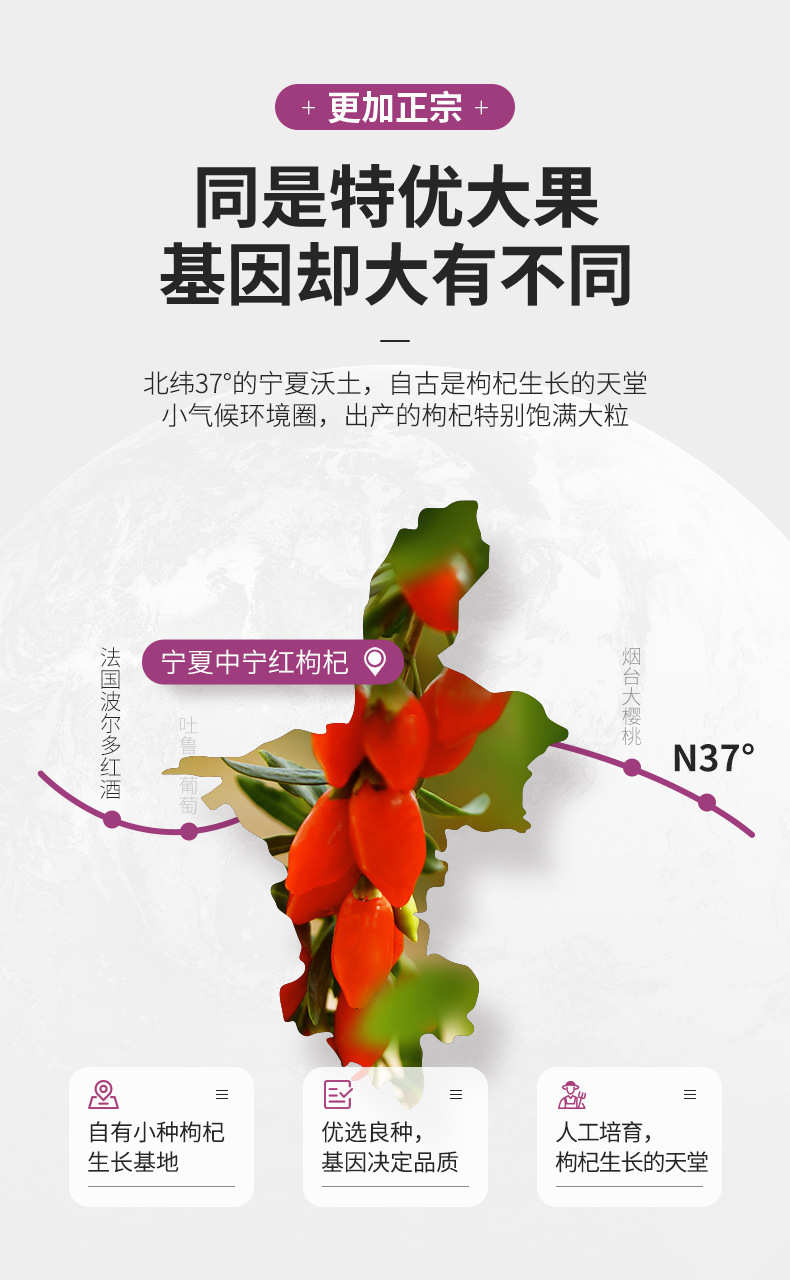Premium Ningxia Goji Berries 500g Dried Wolfberry Fruit Gou Qi Zi for Tea Soup and Congee specifications