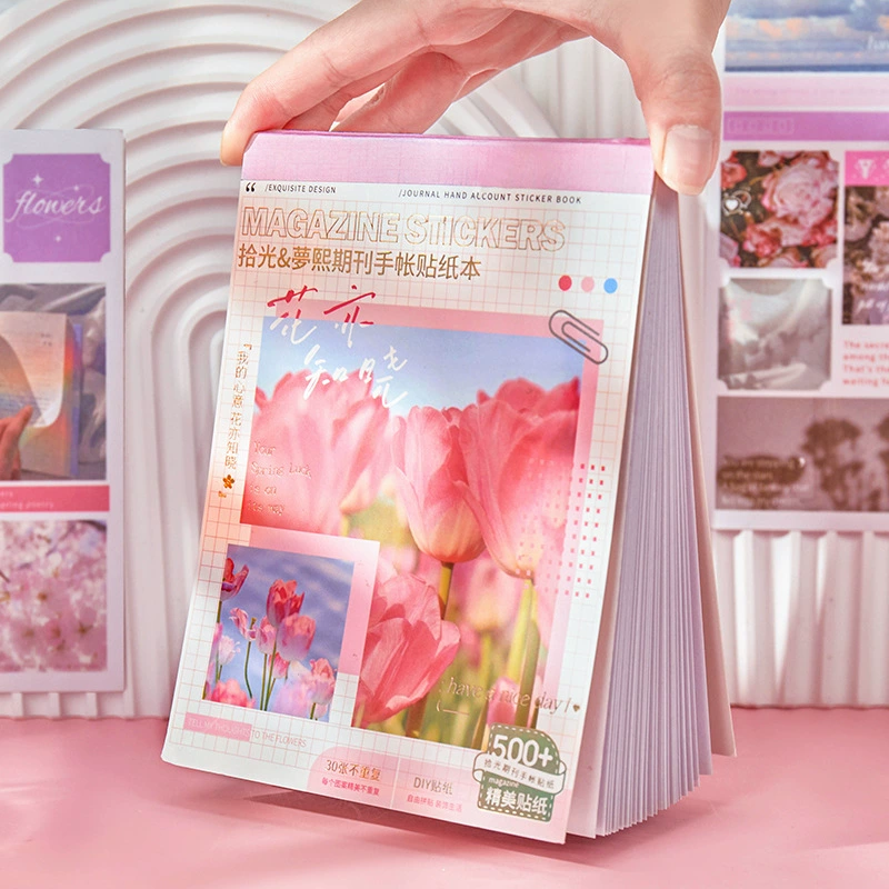 Стикер серии справочника Pickling the Journal Handbook Retro INS Salt Salt Salt Flower Sky Patching 30 листов