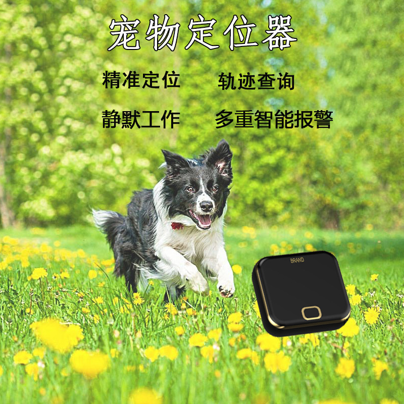 4G全网通 gps宠物定位器老人员工儿童定位防丢器GPS智能穿戴详情5