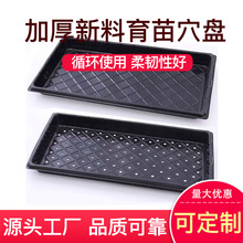 ���l�L��������Ѩ�P������Ǥ�����L�����бPѿ�˶���Nֲ�к�F؛