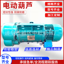 起重机钢丝绳电动葫芦 单双速变频电动葫芦 固定运行式快速电葫芦