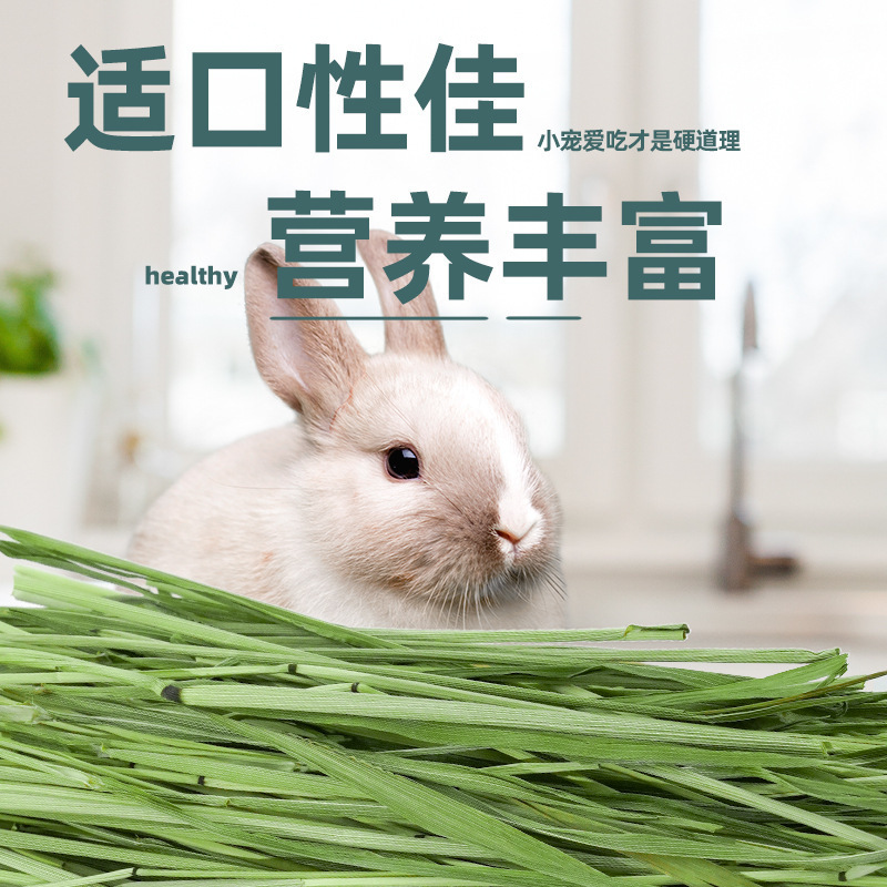 ティモシー ドライウサギフード ウサギ用飼料 モルモット用 ティモシー乾燥専用飼料|undefined