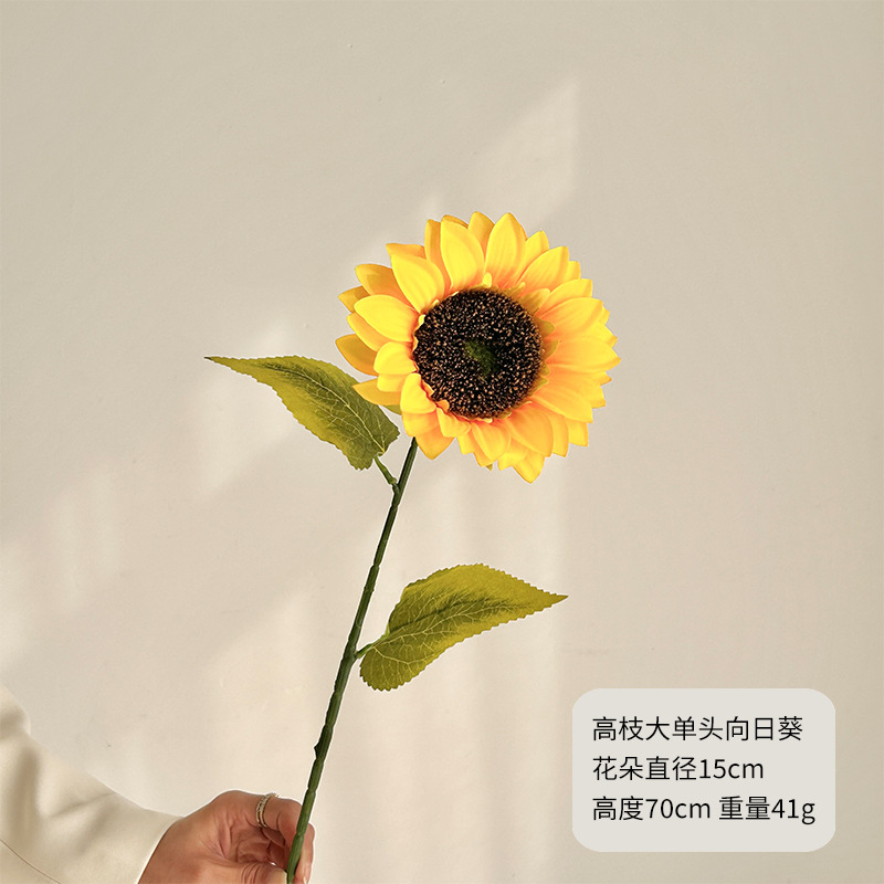 Girasol de una sola cabeza de rama alta