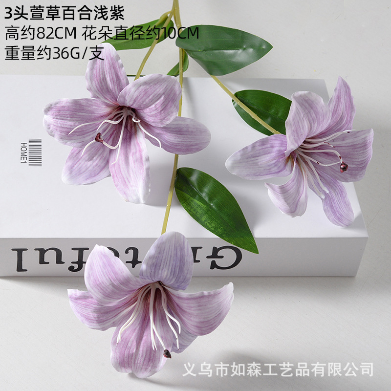 Hemerocallis lirio morado claro