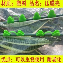 ����С����֧�ܲ����w�S�U���۲��w�U�ӈ@ˇ���ﱡĤ�A���������l