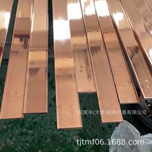 扁钢 接地排 石墨接地排镀铜扁钢 圆钢 镀铜扁线 覆铜接地棒