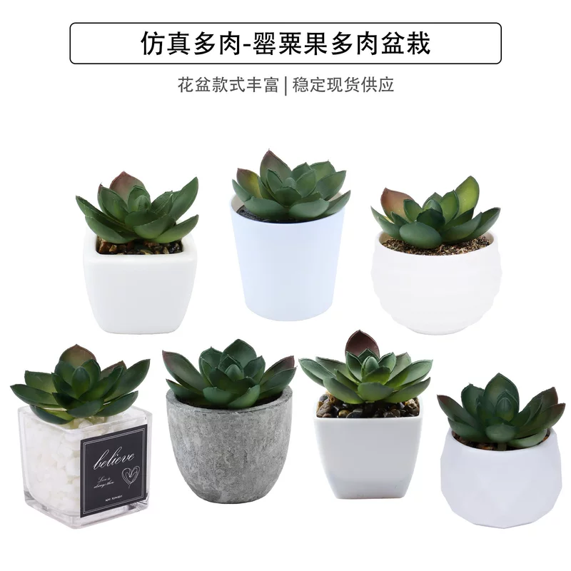 现货仿真多肉罂粟果盆栽桌面摆件小礼品迷你绿植盆景TEMU仿真植物