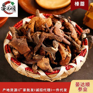 �S�����l�|���خa�Ģ500�˴��bʳ�þ��a�����l�Ģһ�����l �Ģ