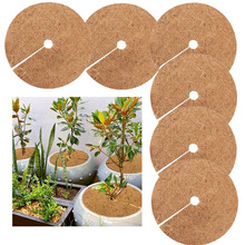 花盆椰棕垫平面垫椰丝垫圆形中间开孔保护植物根部防冻保湿 6个装
