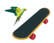 ���Q؛Դ �S��ֱ�N Ӗ�B���� �����B������� ��ɫ�S�C