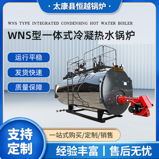 WNS��һ�wʽ������ˮ偠t��ȼ��6����ˮ偠t�͵�����ʽ��ˮ偠t�S