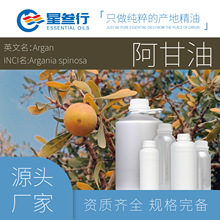 �ЙCĦ���Թ��Ͱ����� Ħ����M���o�lֲ�ﾫ��ԭ�����w��Ħ��