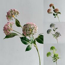 ���Ϸ���3�^���ж��Ҿӻ�c�Ƶ��b��滨�辰�廨�zӰ���߼ٻ�