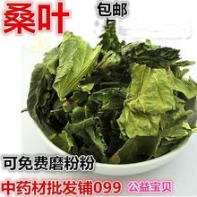 霜桑叶 500g 批 发新鲜农家 泡茶配侧柏叶洗头可磨粉 包邮