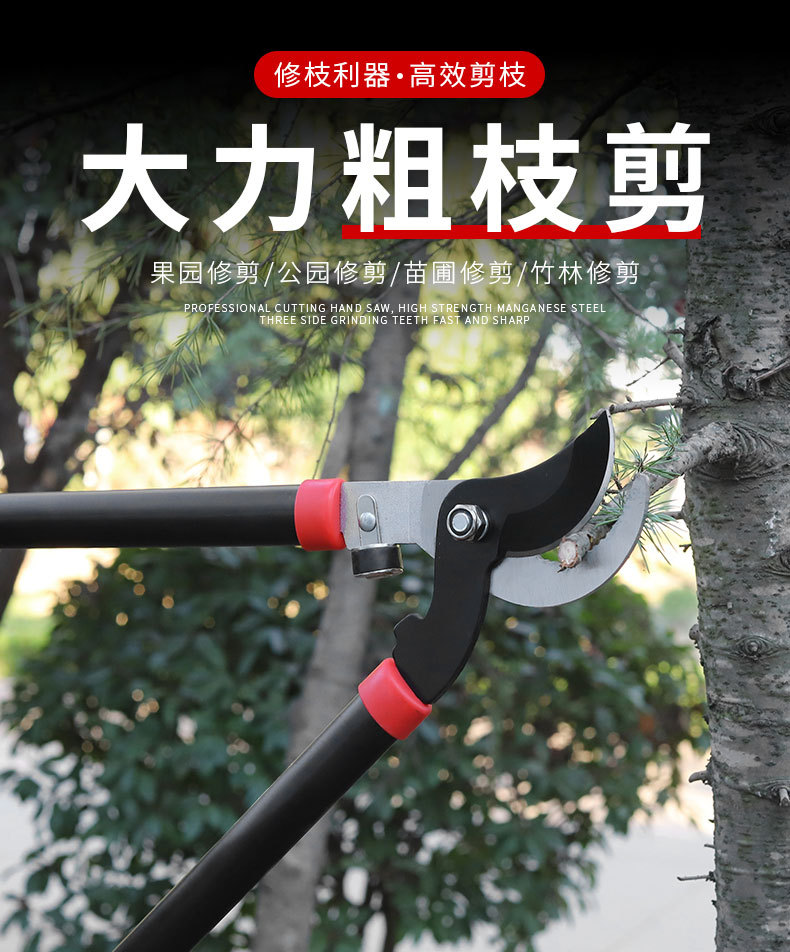 长柄修枝剪树枝剪刀园艺大剪果树修枝修剪树枝园林剪刀强力粗枝剪-阿里巴巴