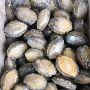 �U�~�ك����󎧃��K�r�U�~�����������ԭ�ϟ�������8����s110��