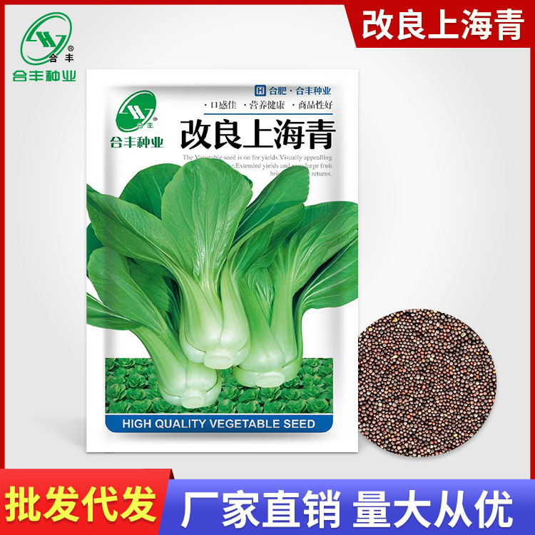 改良上海青15克 四季小白菜种子种阳台庭院四季小白菜种菜种孑籽