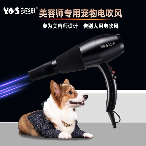 English Gentleman Pet Hair Dryer for Dogs and Cats, Pet Shop Use, Comb and Hair Dryer in One, Bathing Neck Electro Hair Dryer