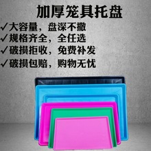 ��ߴ��бP�u�S�P��̖�S���а�ױP���\���бP�P���u���L���αP�P