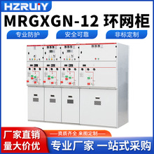 Դ^S 10KV߉hW MRGXGN-12M_P xӋPT