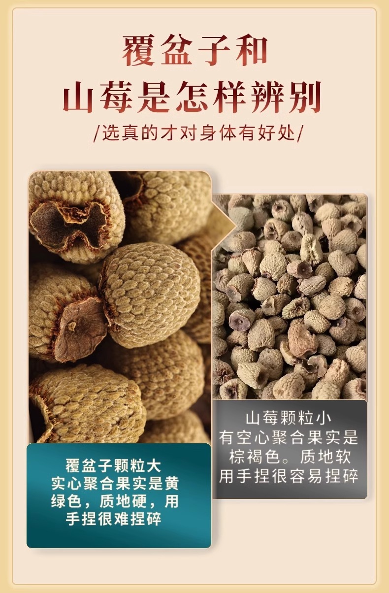 Premium Hand-Selected Raspberry Fruit Fu Pen Zi 覆盆子 Dried Herbal Tea 40g Jar in use