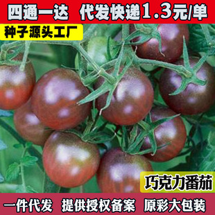 ������ڷ��ѷN�� �ɿ������ѷN�� ���ҷ����}Ů���N�Ӳ˷N������