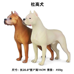 �羳���湷ģ�ͶŸ�Ȯ �ɿ�Ȯ����Ȯ�����CȮ ��Ȯ������ߔ[��