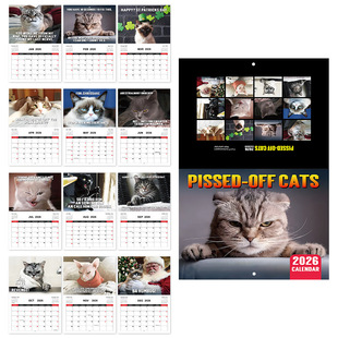 Cross-Border New Product 2026 Pissed-Dff Cats Angry Cat Calendar Wall Horse Riding Nail Calendar Ready for Sale