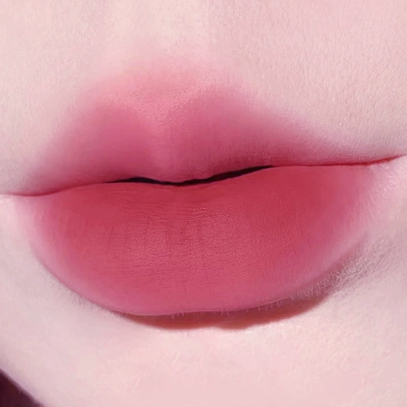 Toot Dodo Lip gloss, matte lipstick, face blush, makeup primer, translucent shading