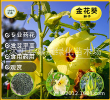 �𻨿��N�Ӳ�ܽ�؟o���_���^�p�^���r�I���ܮa�IҰܽ���S����N��