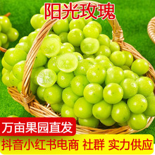 �a��ֱ�lꖹ�õ�宔�����rˮ���������џo����ӡ������һ�����l