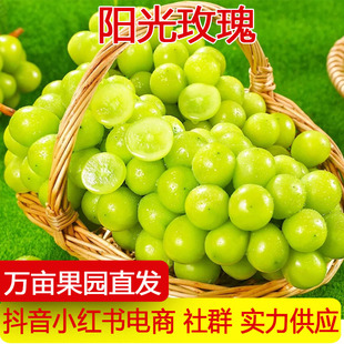 �a��ֱ�lꖹ�õ�宔�����rˮ���������џo����ӡ������һ�����l