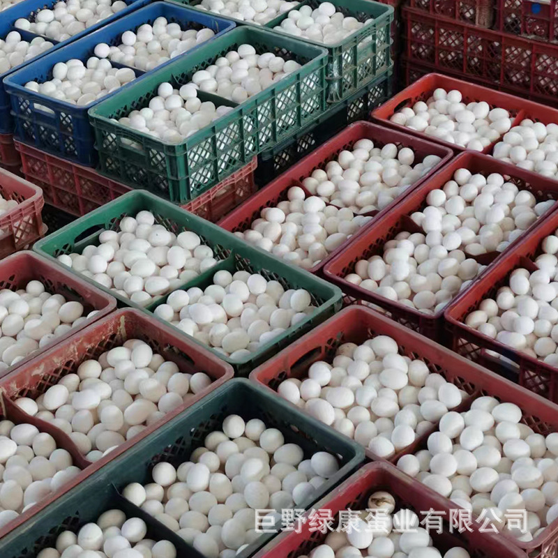 微信图片_202209011424282