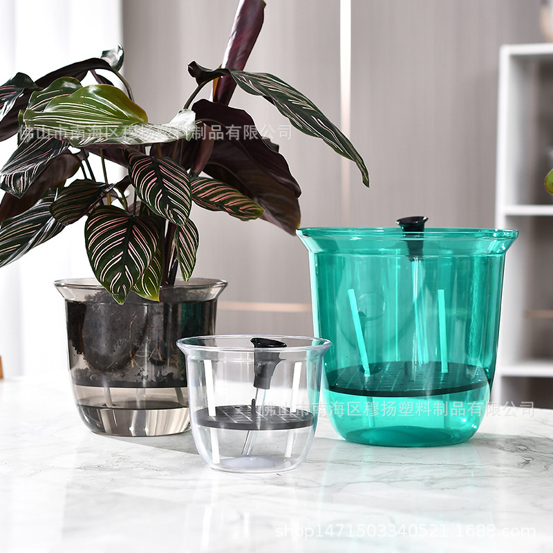 透明可视水位自吸水花盆桌面多肉透气懒人塑料仿玻璃水培水养器皿