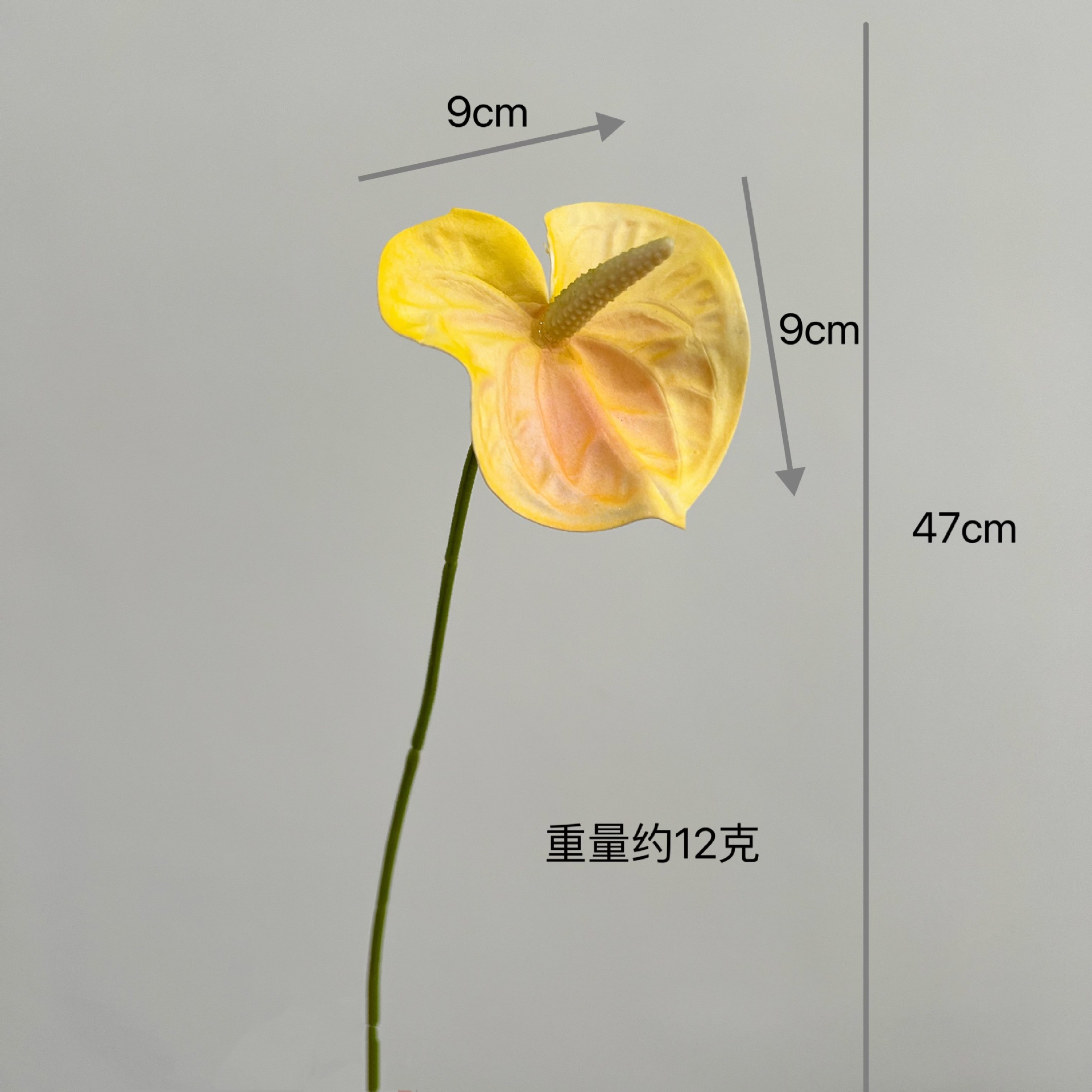 Short branch bear paw [golden yellow]