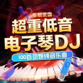 车载纯音乐劲爆重低音dj电子琴u盘舞曲无损音质汽车用音乐MP3优盘