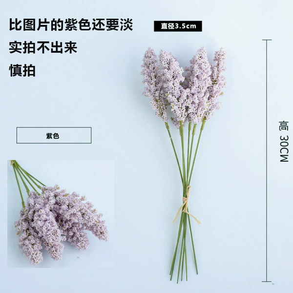 Light purple (6 packs of 6 packs)