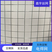 镀锌铁丝网出口标准正孔铁丝网焊接网养殖网1寸电焊网