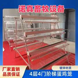 四层四门阶梯式蛋鸡笼 A字型蛋鸡笼  镀锌材质 工厂直发 外贸出口