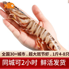 ���͝O�r��߹��r���� ���r���r���r�Ź��r���r���r�r� �r��