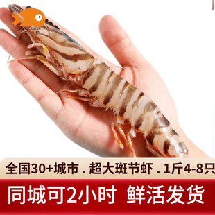���͝O�r��߹��r���� ���r���r���r�Ź��r���r���r�r� �r��