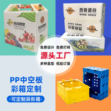 食品级PP中空板彩箱可折叠防水防潮果蔬包装礼盒中转冷链中空板箱