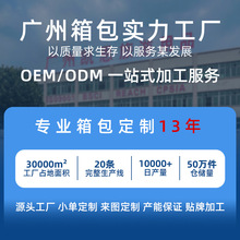 箱包定制OEMODM运动登山双肩背包打样代工源头包包工厂跨境批发