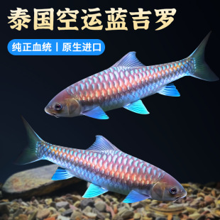 �{���_�^�p�~����~�Ꭷ��ˮ�ͻ���B�ԁ�ˮԭ�����ͮ��ڼ��_�~