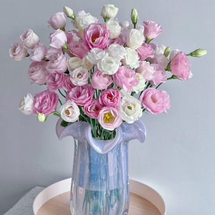 Fresh Cut Flower Bouquets Indoor Hydroponic Flowers Mixed Wholesale Lisianthus Gentian Flowers Direct from Kunming, Yunnan Base