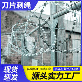 热镀锌刀片刺绳监狱防爬刺学校围墙防盗铁丝网刺丝滚笼刺网防护网