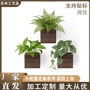 3���bľ�|С�͒�ʽ�҃�ֲ�ﻨ���l���r��ڒ컨ƿ���ܸɻ�ƿ�b�