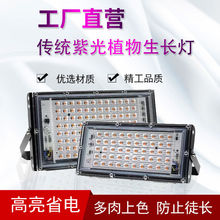 ֲ���a�}��ȫ���VLED���Ӱ�ֲ�����L������������߲˻��������