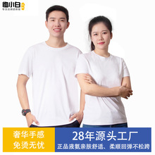 免烫液氨纯棉圆领T恤男青春靓丽班服工作服宽松T恤简约透气打底衫