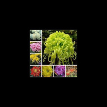 ջNӾ¾սKղ˹f۾̨׷NļNֲݷN